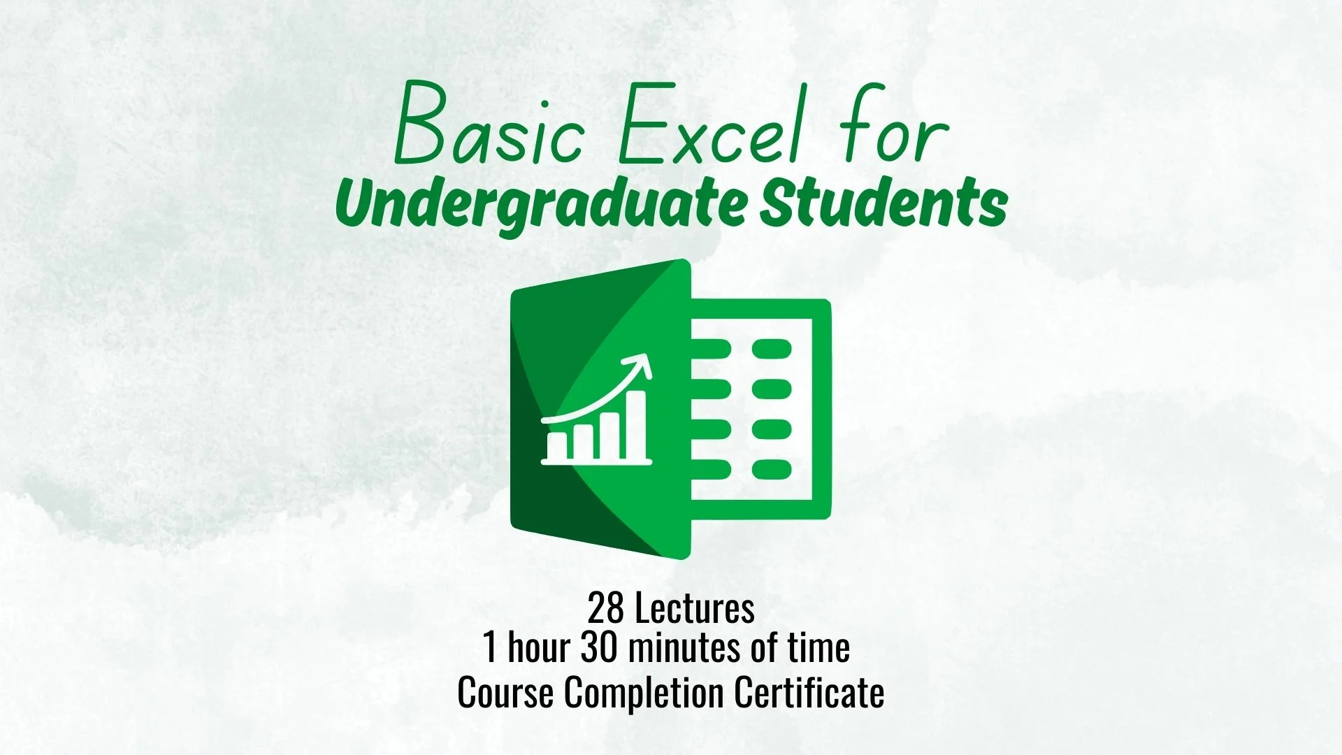 Basic Excel for Undergraduate Students